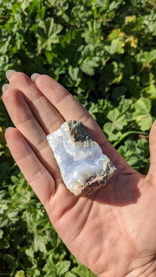 Blue Lace Agate Geodes (Small) Intuitively Selected