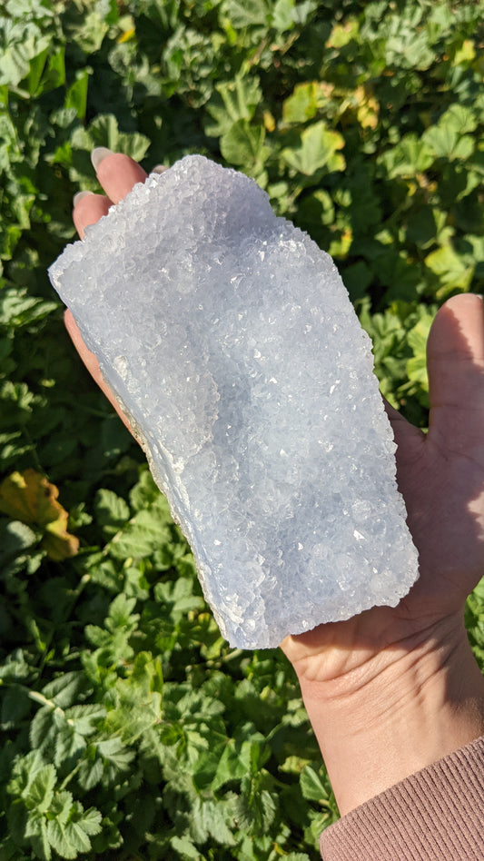 Blue Lace Agate Geodes (XL)