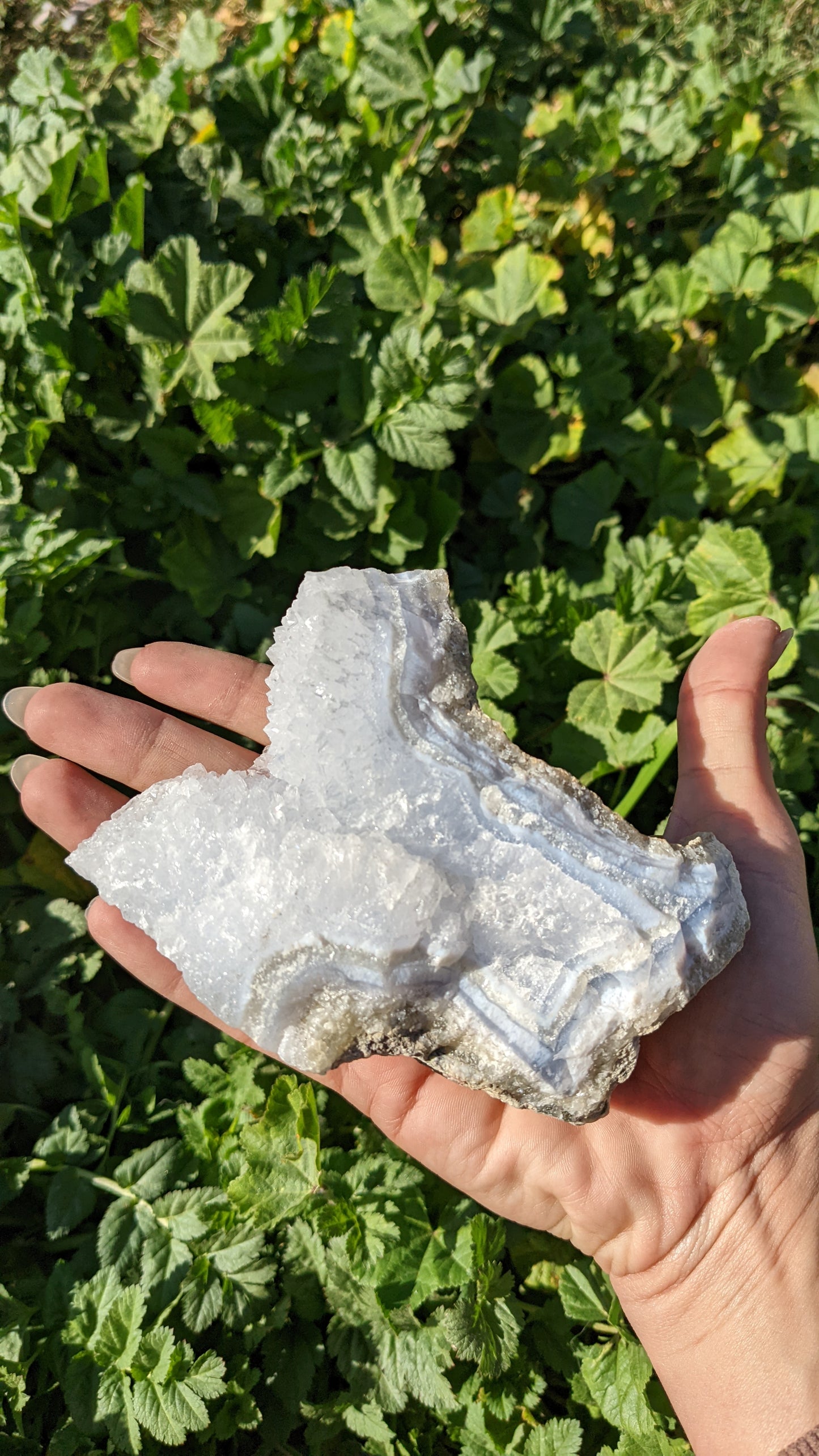 Blue Lace Agate Geodes (XL)