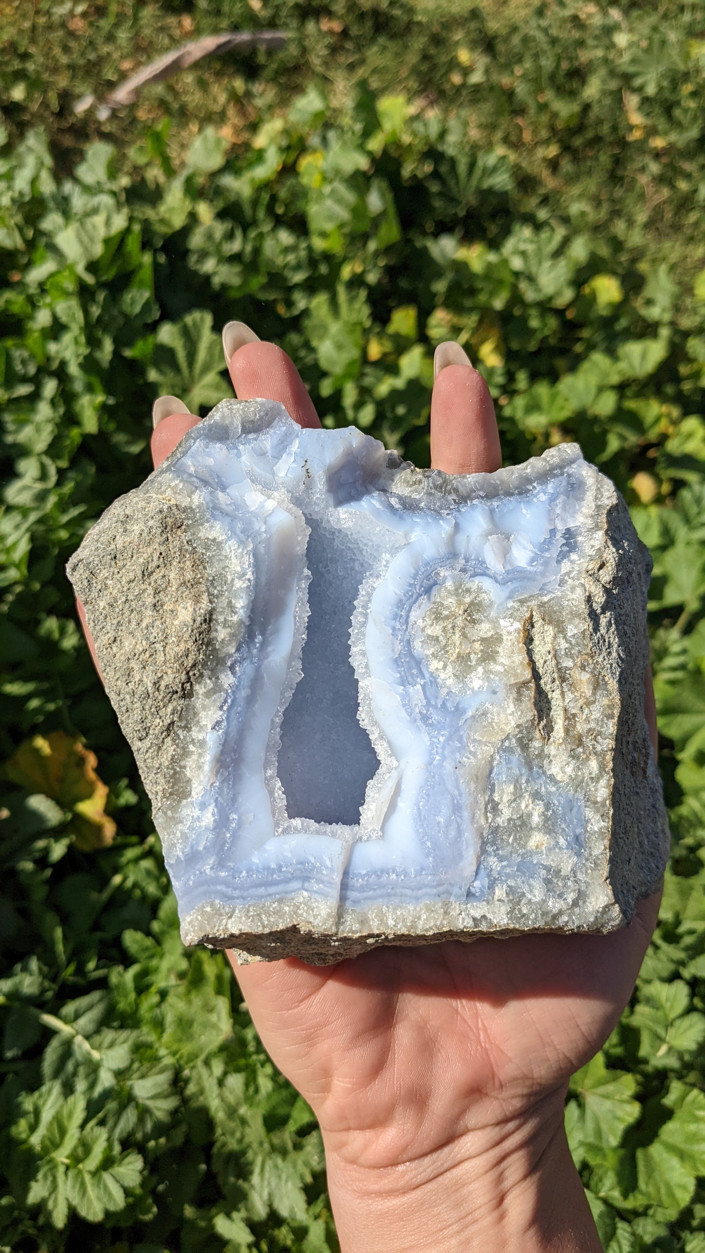 Blue Lace Agate Geodes (XL)