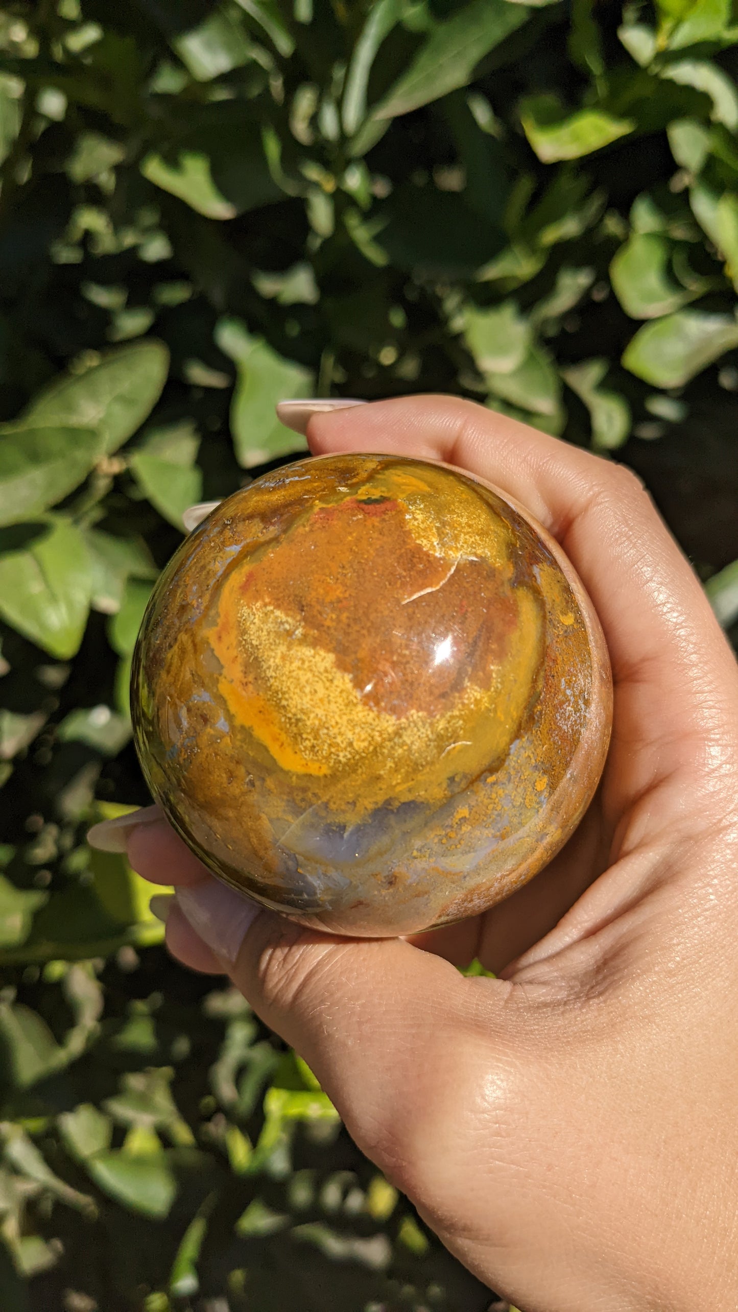 Ocean Jasper Spheres