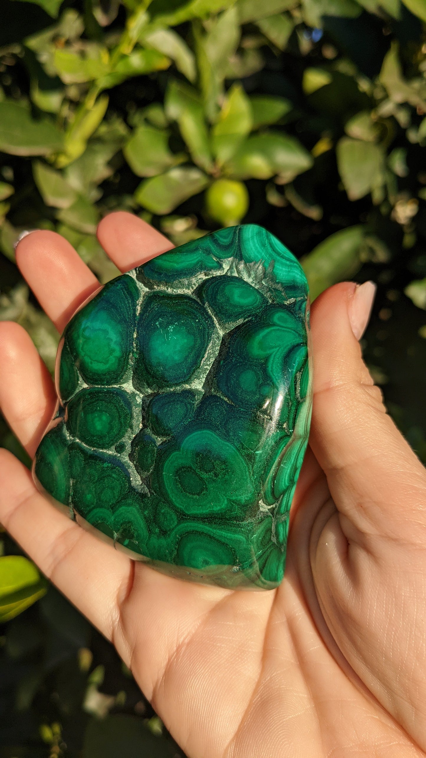 Malachite Freeforms