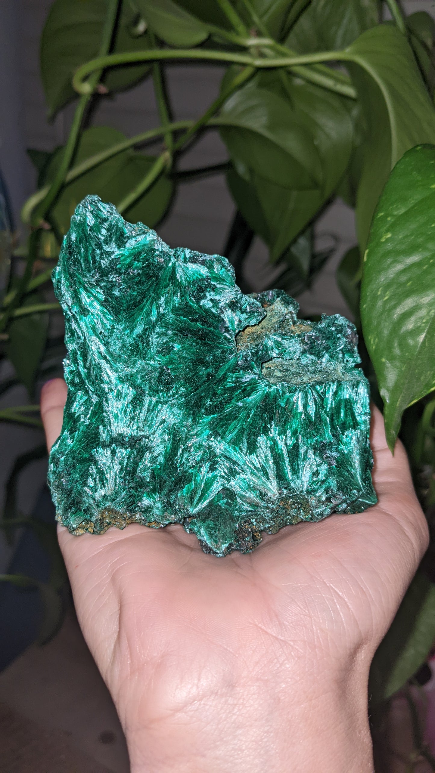 Silky Malachite Specimens