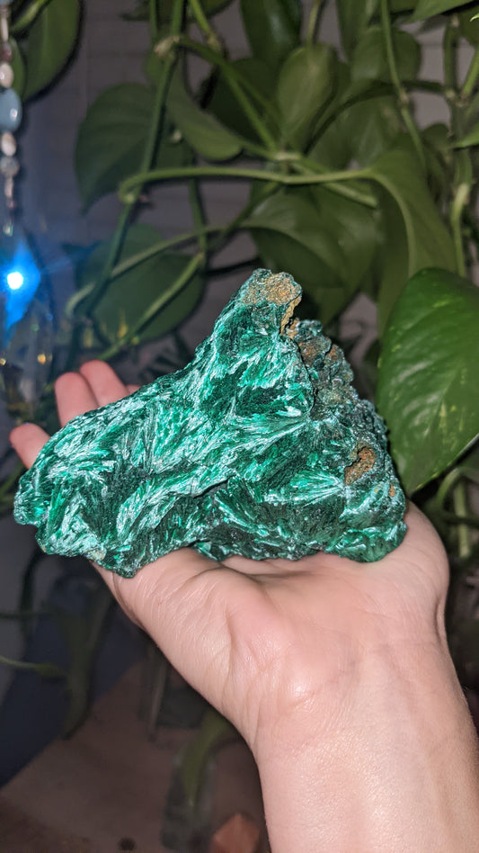 Silky Malachite Specimens