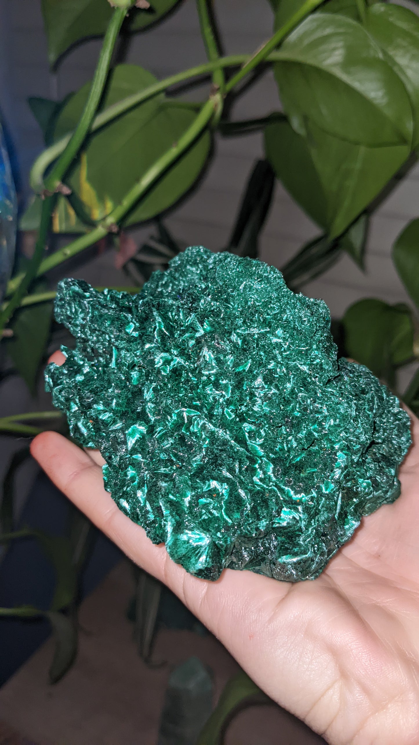 Silky Malachite Specimens