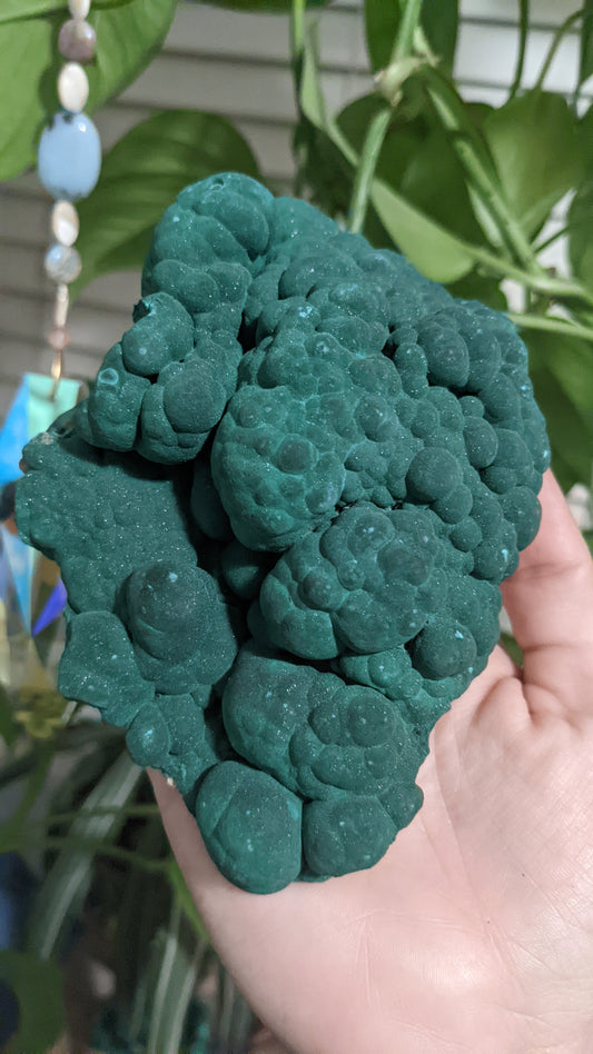 Botryoidal Malachite Specimens