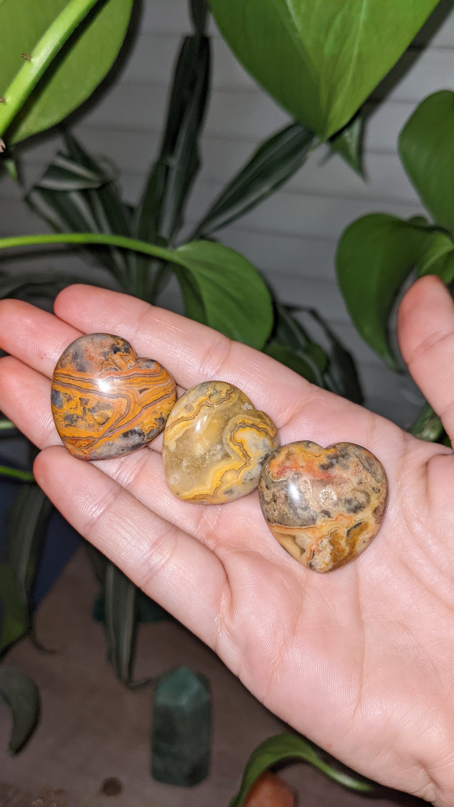 Crazy Lace Agate Hearts