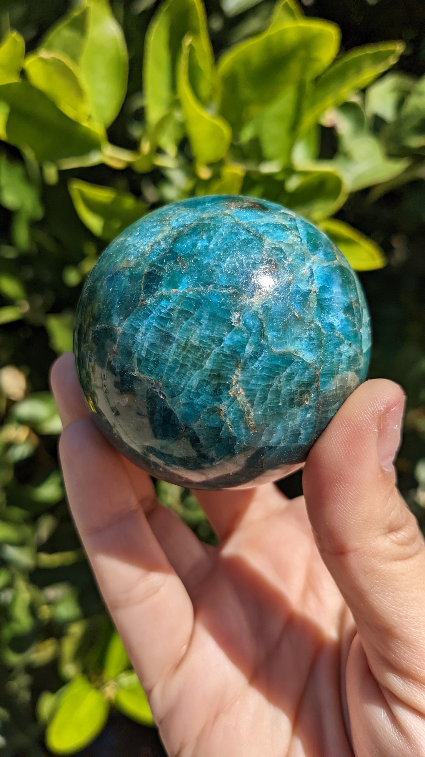 Apatite Sphere